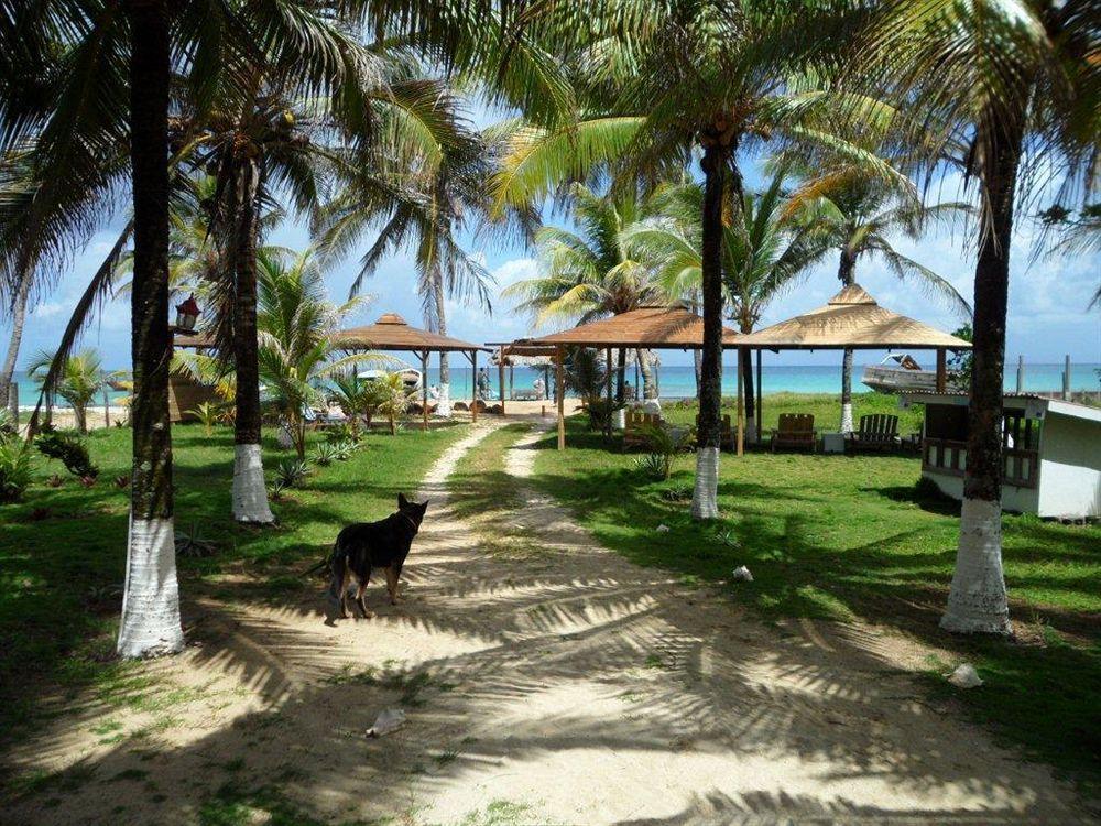 Paraiso Beach Hotel Brig Bay Eksteriør billede
